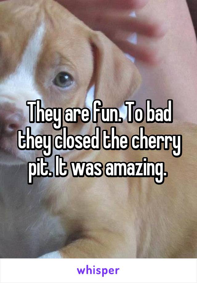 They are fun. To bad they closed the cherry pit. It was amazing. 