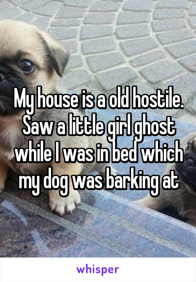 My house is a old hostile. Saw a little girl ghost while I was in bed which my dog was barking at