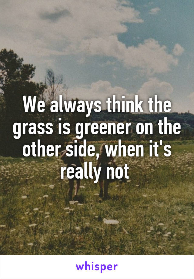 We always think the grass is greener on the other side, when it's really not 