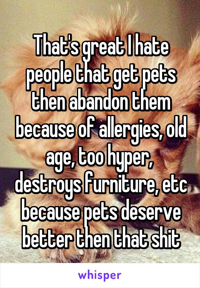 That's great I hate people that get pets then abandon them because of allergies, old age, too hyper,  destroys furniture, etc because pets deserve better then that shit