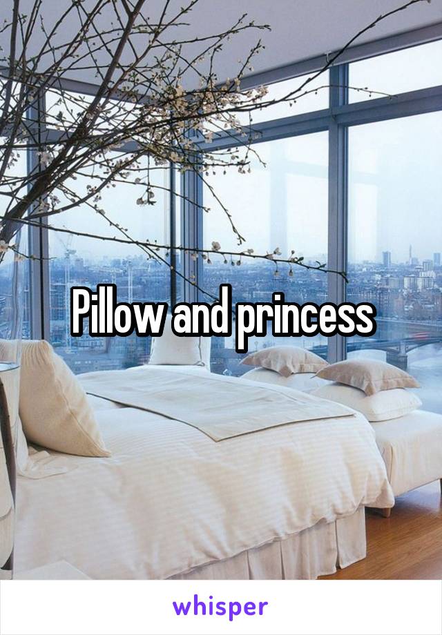 Pillow and princess
