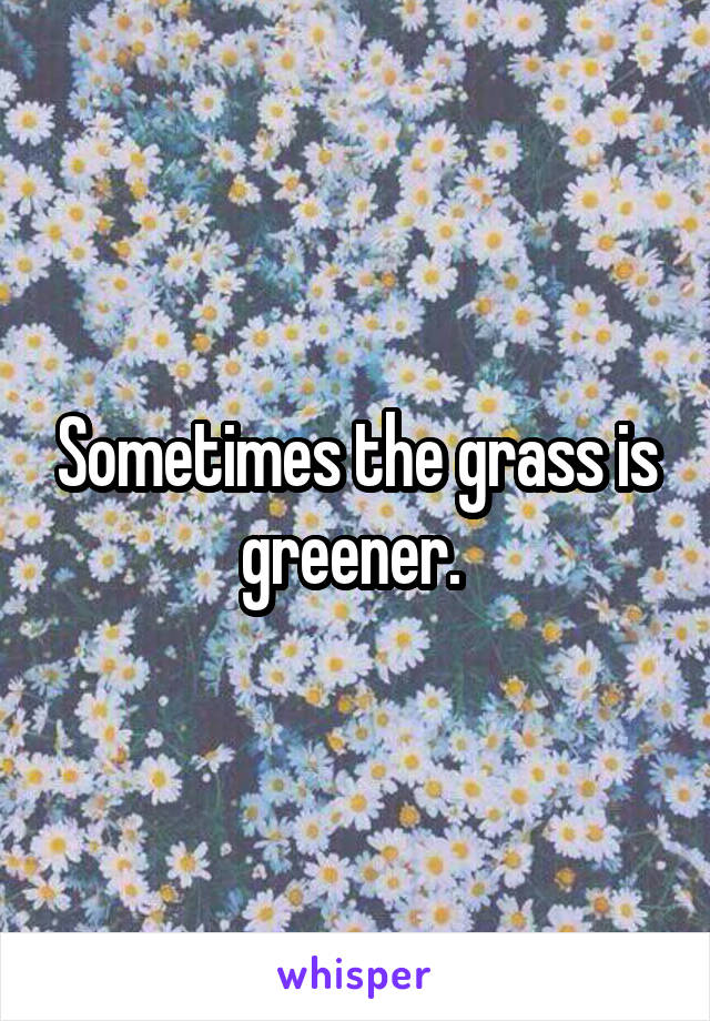 Sometimes the grass is greener. 