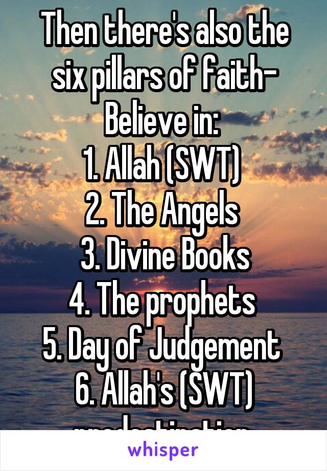 Then there's also the six pillars of faith- Believe in: 
1. Allah (SWT) 
2. The Angels 
3. Divine Books
4. The prophets 
5. Day of Judgement 
6. Allah's (SWT) predestination 