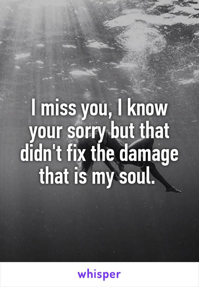 I miss you, I know your sorry but that didn't fix the damage that is my soul. 