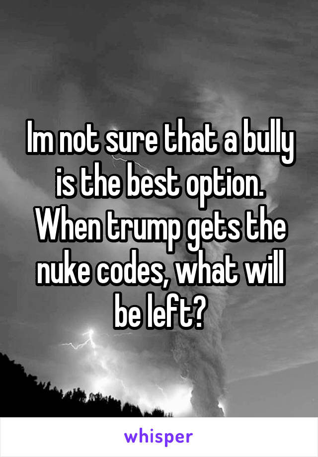Im not sure that a bully is the best option. When trump gets the nuke codes, what will be left?
