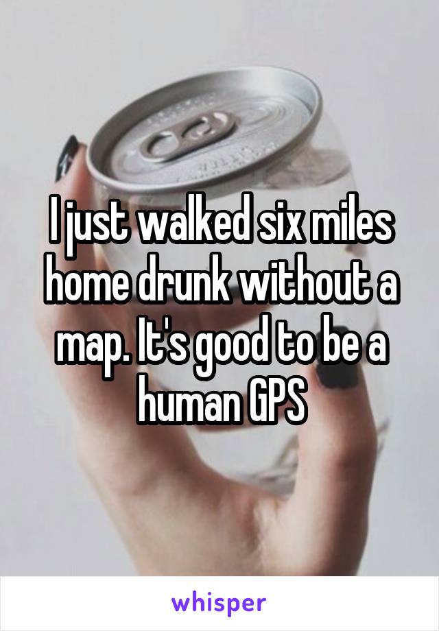 I just walked six miles home drunk without a map. It's good to be a human GPS