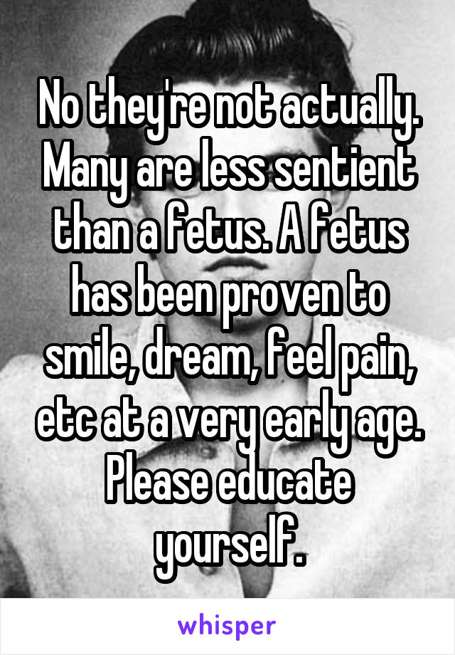 No they're not actually. Many are less sentient than a fetus. A fetus has been proven to smile, dream, feel pain, etc at a very early age. Please educate yourself.