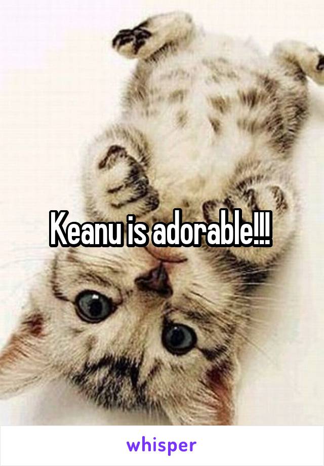 Keanu is adorable!!! 