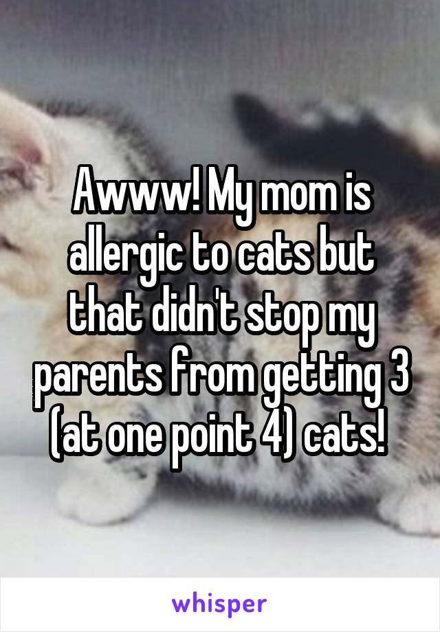 Awww! My mom is allergic to cats but that didn't stop my parents from getting 3 (at one point 4) cats! 