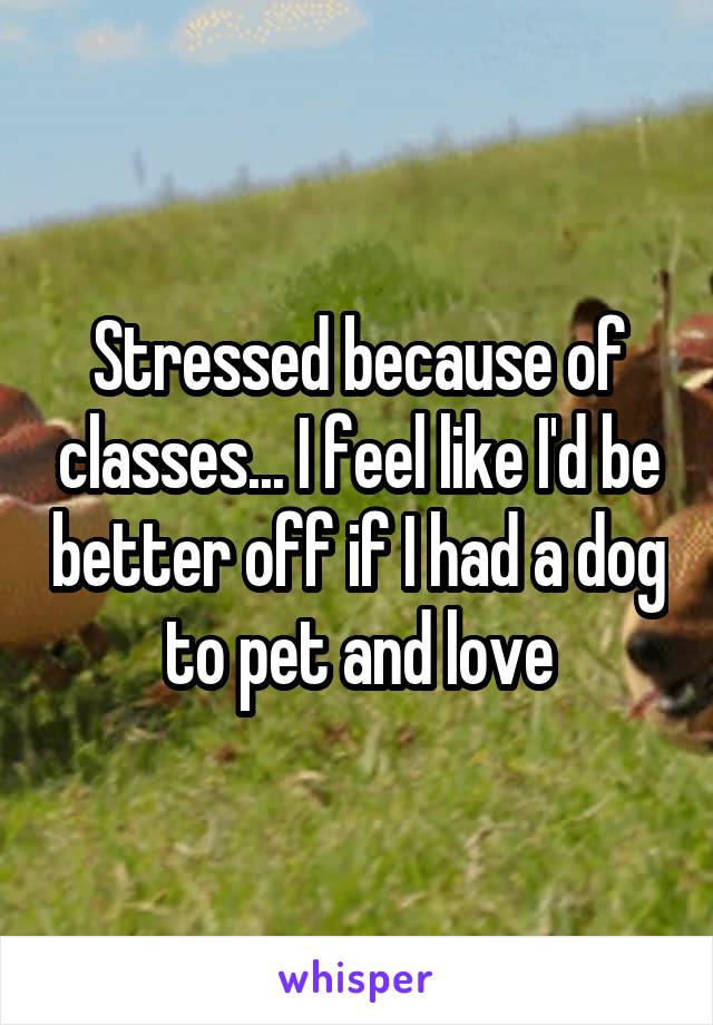 Stressed because of classes... I feel like I'd be better off if I had a dog to pet and love