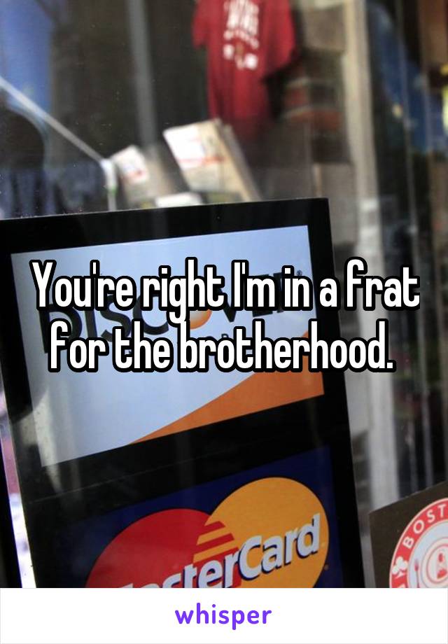 You're right I'm in a frat for the brotherhood. 