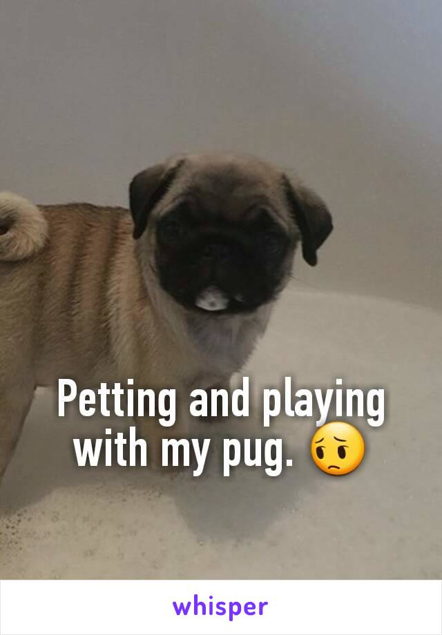Petting and playing with my pug. 😔