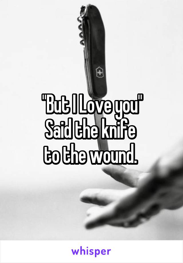 "But I Love you"
Said the knife 
to the wound. 