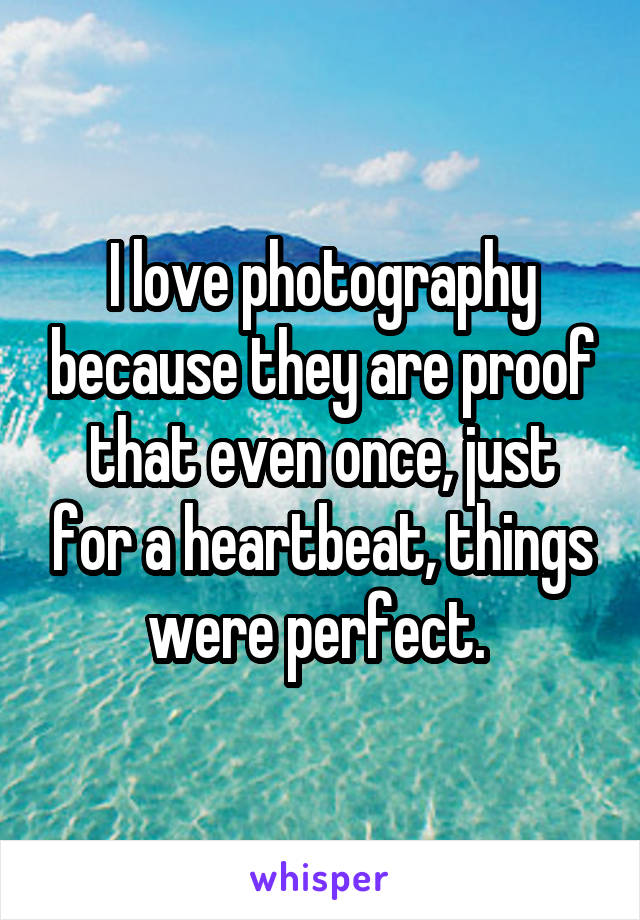 I love photography because they are proof that even once, just for a heartbeat, things were perfect. 