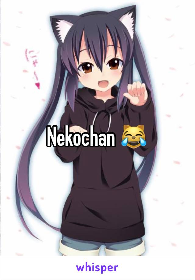 Nekochan 😹