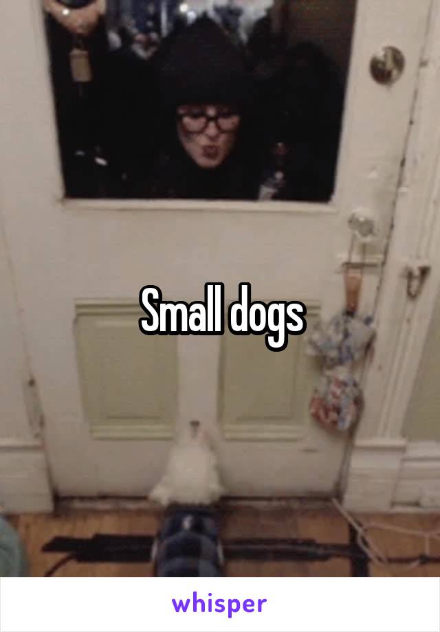 Small dogs
