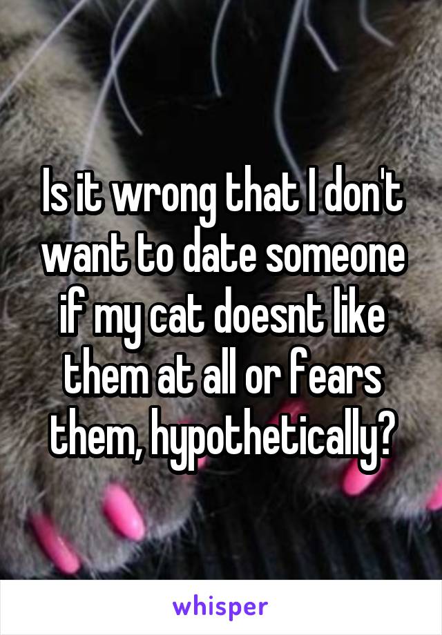 Is it wrong that I don't want to date someone if my cat doesnt like them at all or fears them, hypothetically?