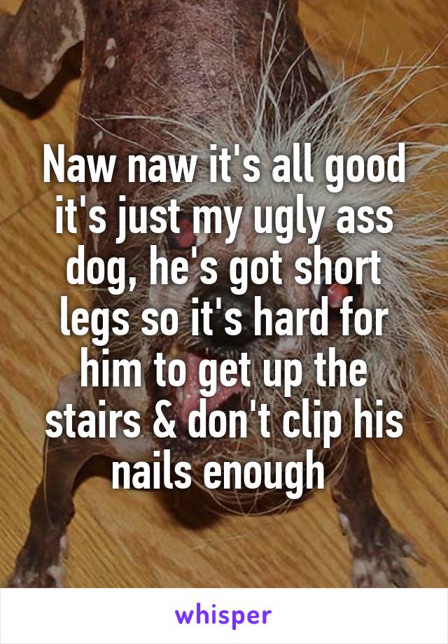 Naw naw it's all good it's just my ugly ass dog, he's got short legs so it's hard for him to get up the stairs & don't clip his nails enough 