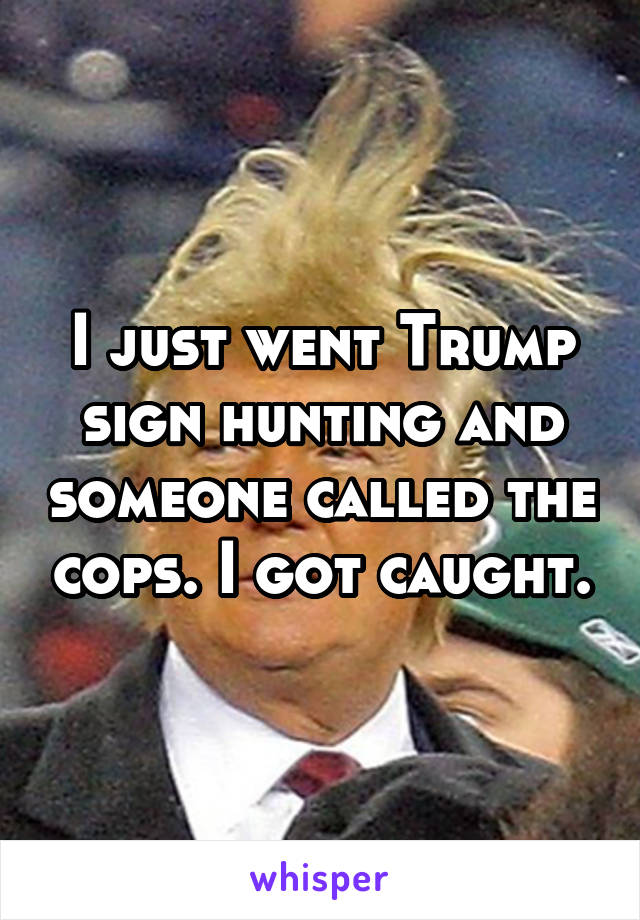 I just went Trump sign hunting and someone called the cops. I got caught.