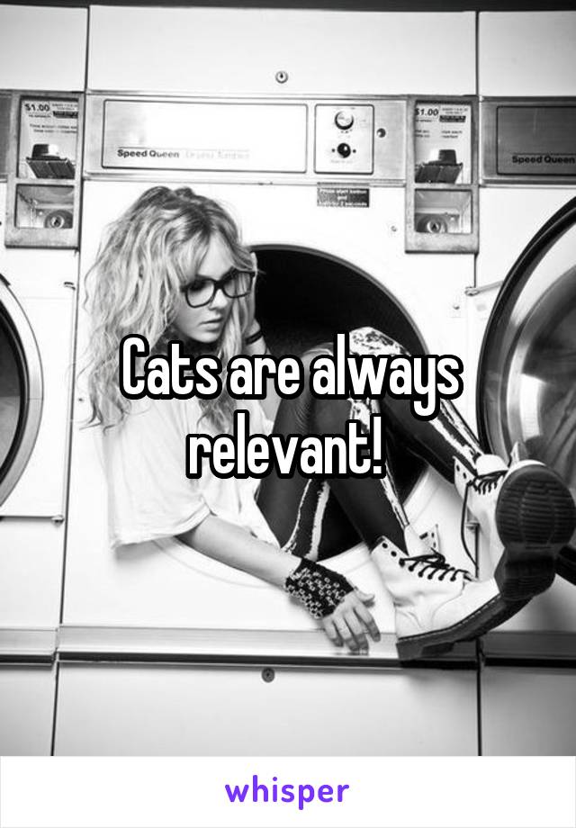 Cats are always relevant! 