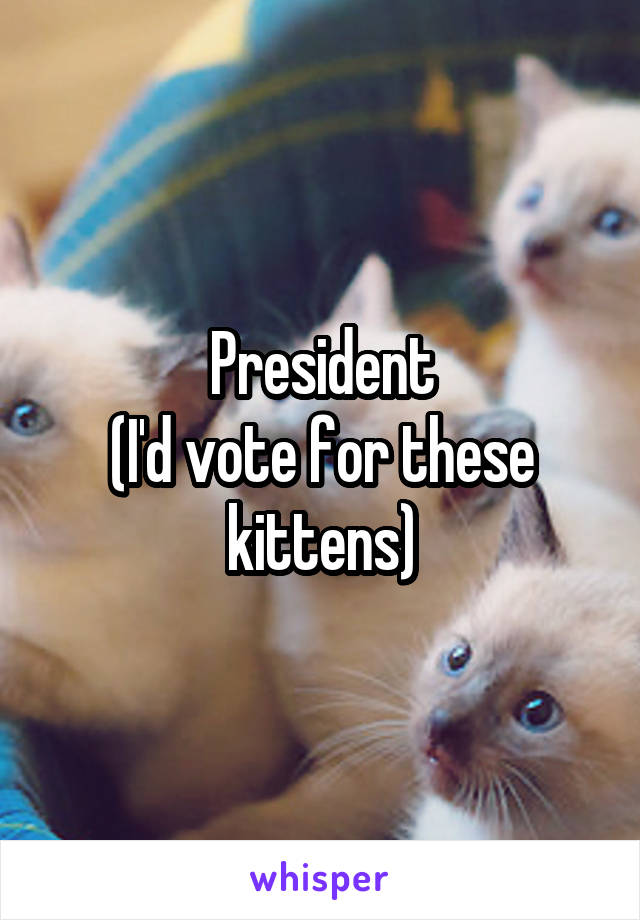 President
(I'd vote for these kittens)