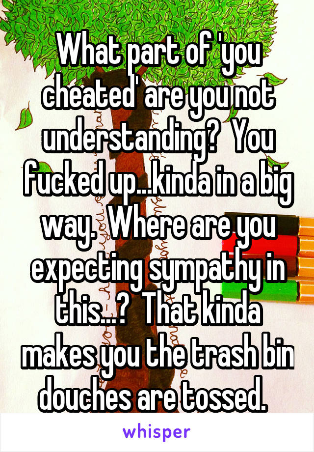 What part of 'you cheated' are you not understanding?  You fucked up...kinda in a big way.  Where are you expecting sympathy in this...?  That kinda makes you the trash bin douches are tossed.  