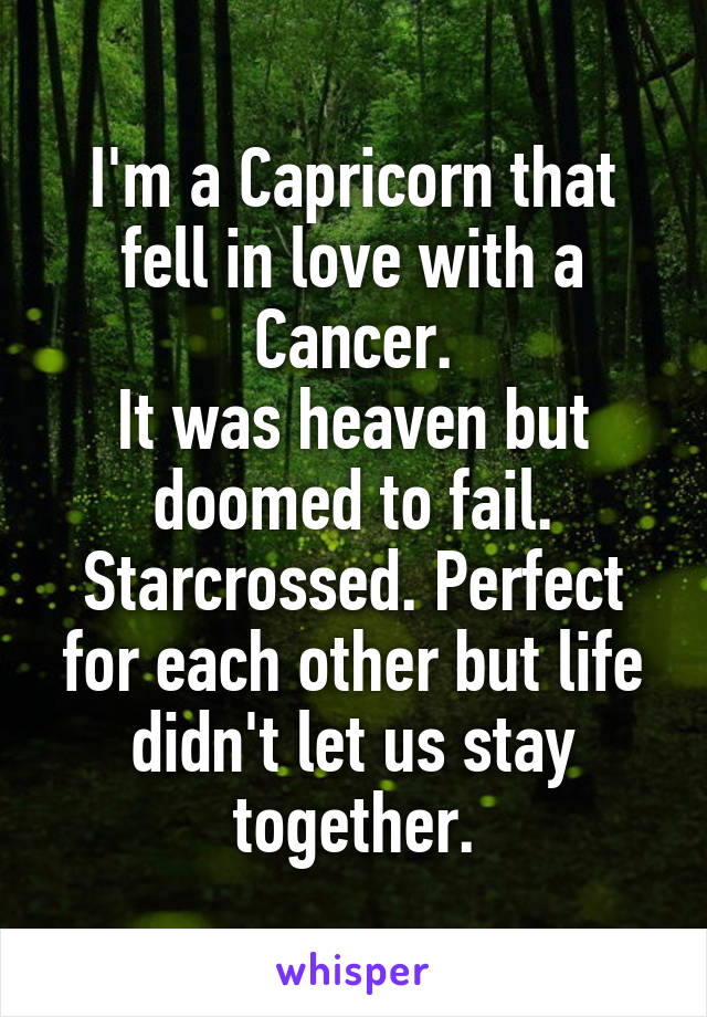 I'm a Capricorn that fell in love with a Cancer.
It was heaven but doomed to fail. Starcrossed. Perfect for each other but life didn't let us stay together.