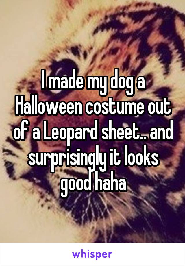 I made my dog a Halloween costume out of a Leopard sheet.. and surprisingly it looks good haha