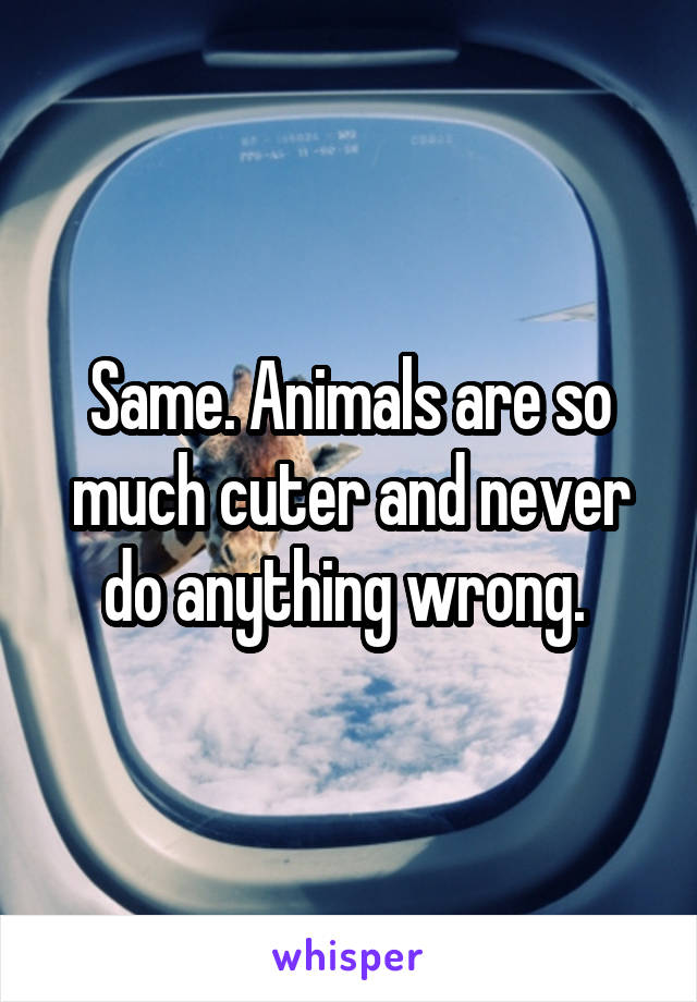 Same. Animals are so much cuter and never do anything wrong. 
