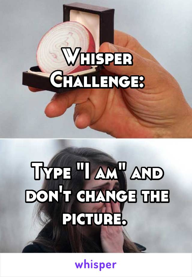 Whisper Challenge:



Type "I am" and don't change the picture. 