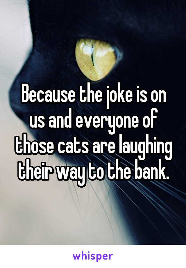 Because the joke is on us and everyone of those cats are laughing their way to the bank.