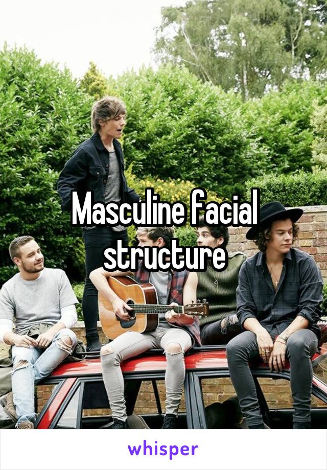 Masculine facial structure