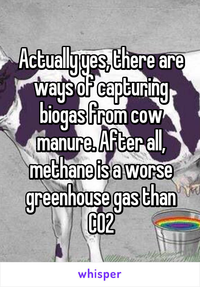 Actually yes, there are ways of capturing biogas from cow manure. After all, methane is a worse greenhouse gas than CO2