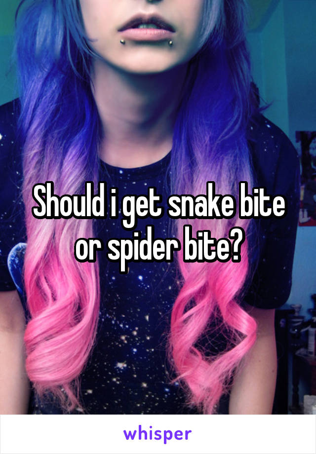 Should i get snake bite or spider bite?