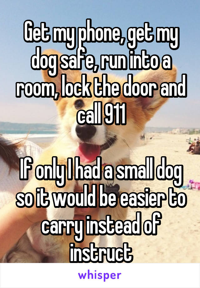 Get my phone, get my dog safe, run into a room, lock the door and call 911

If only I had a small dog so it would be easier to carry instead of instruct