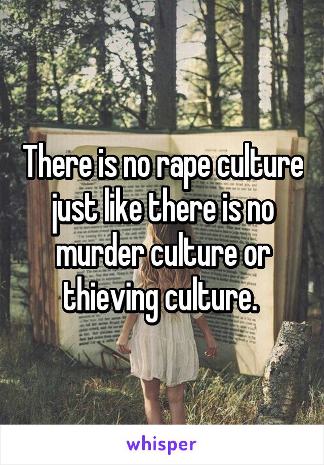 There is no rape culture just like there is no murder culture or thieving culture. 