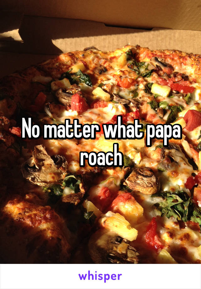 No matter what papa roach