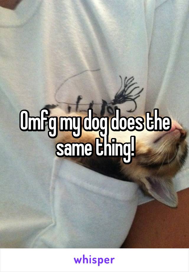 Omfg my dog does the same thing!