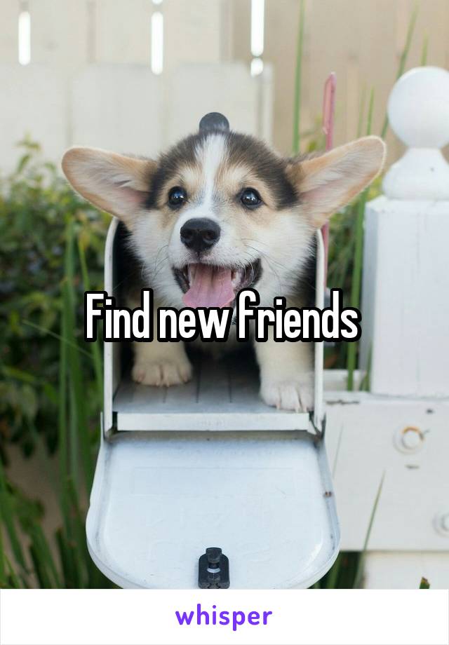 Find new friends 