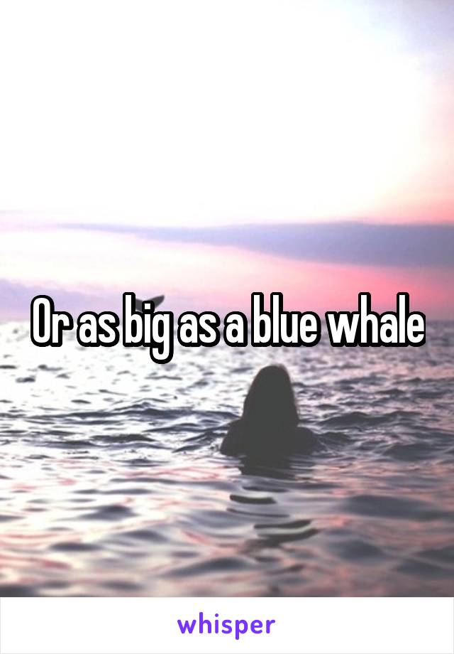 Or as big as a blue whale