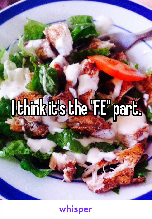 I think it's the "FE" part.