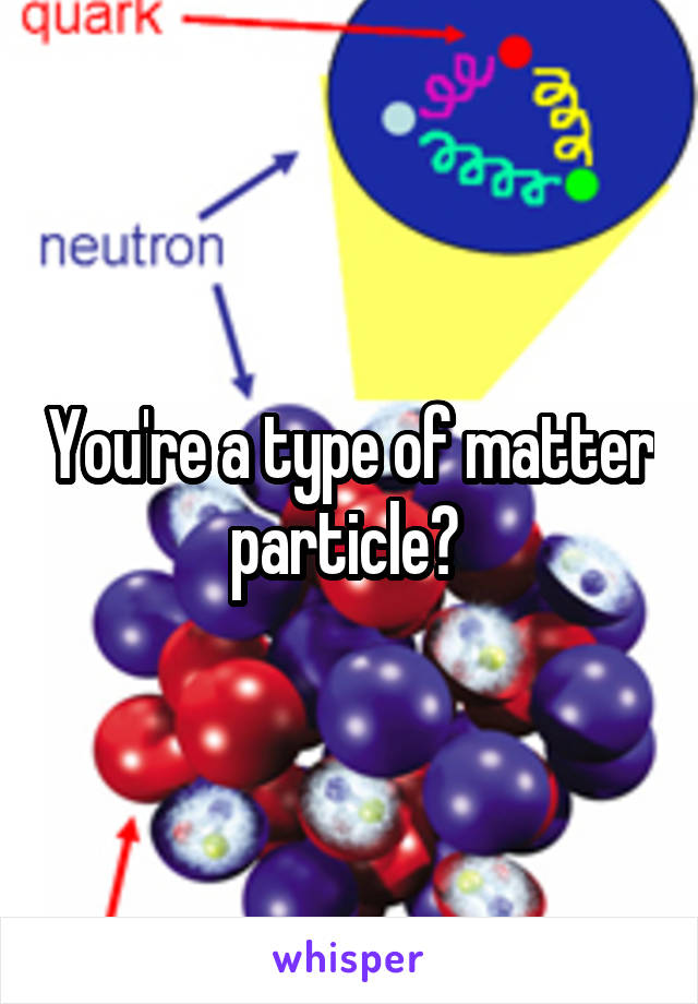 You're a type of matter particle? 