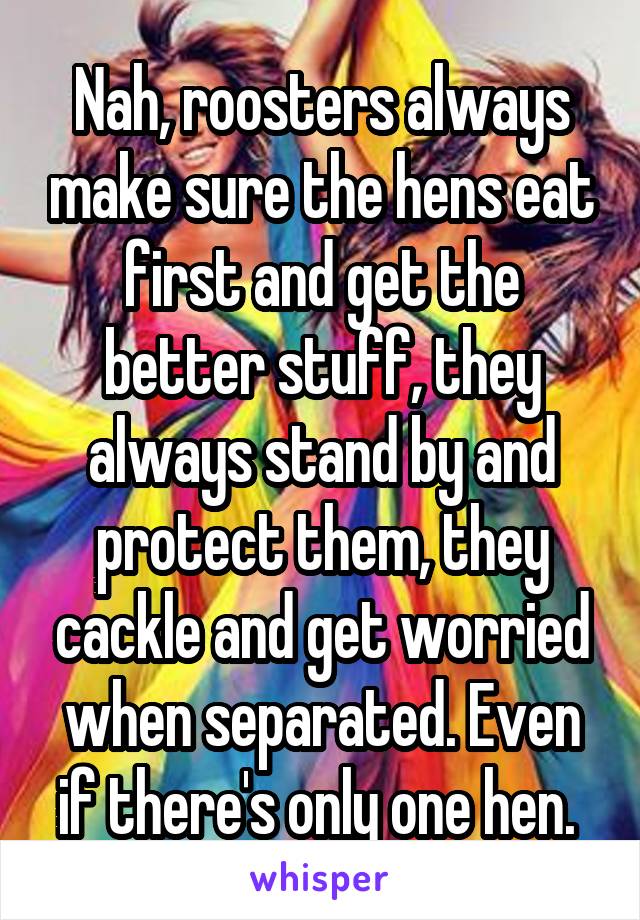 Nah, roosters always make sure the hens eat first and get the better stuff, they always stand by and protect them, they cackle and get worried when separated. Even if there's only one hen. 