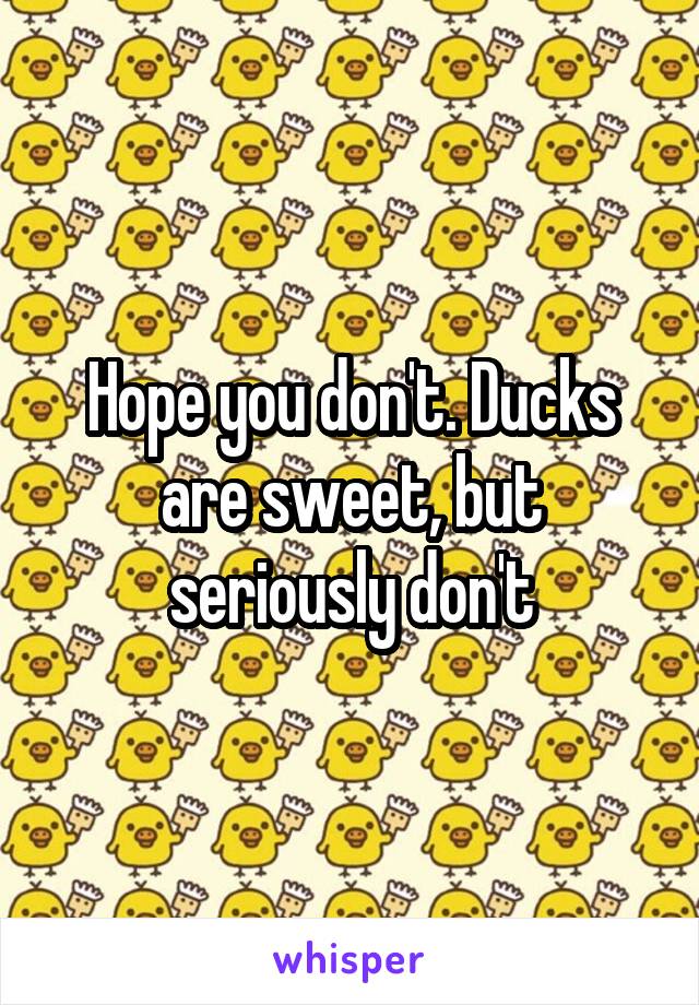 Hope you don't. Ducks are sweet, but seriously don't