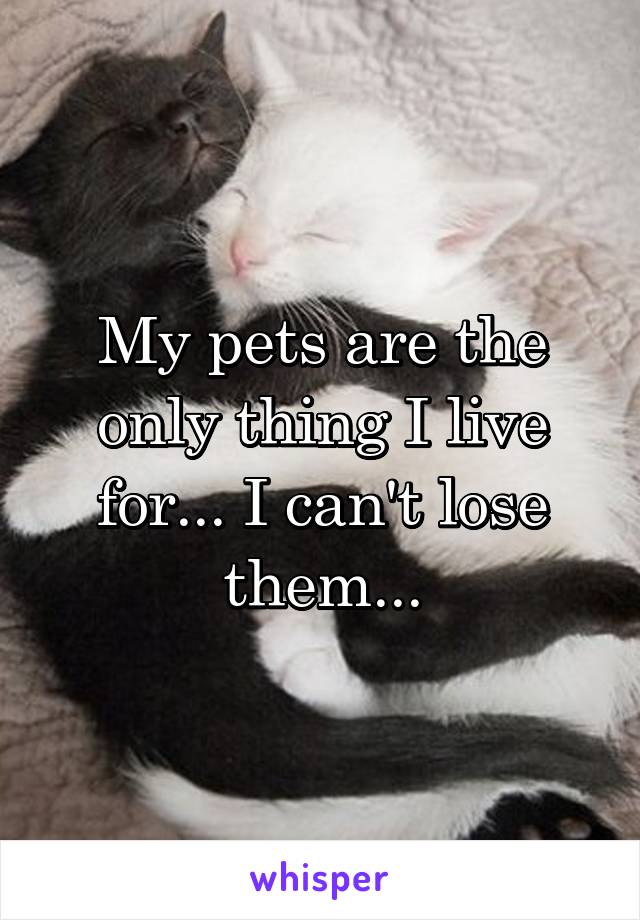 My pets are the only thing I live for... I can't lose them...