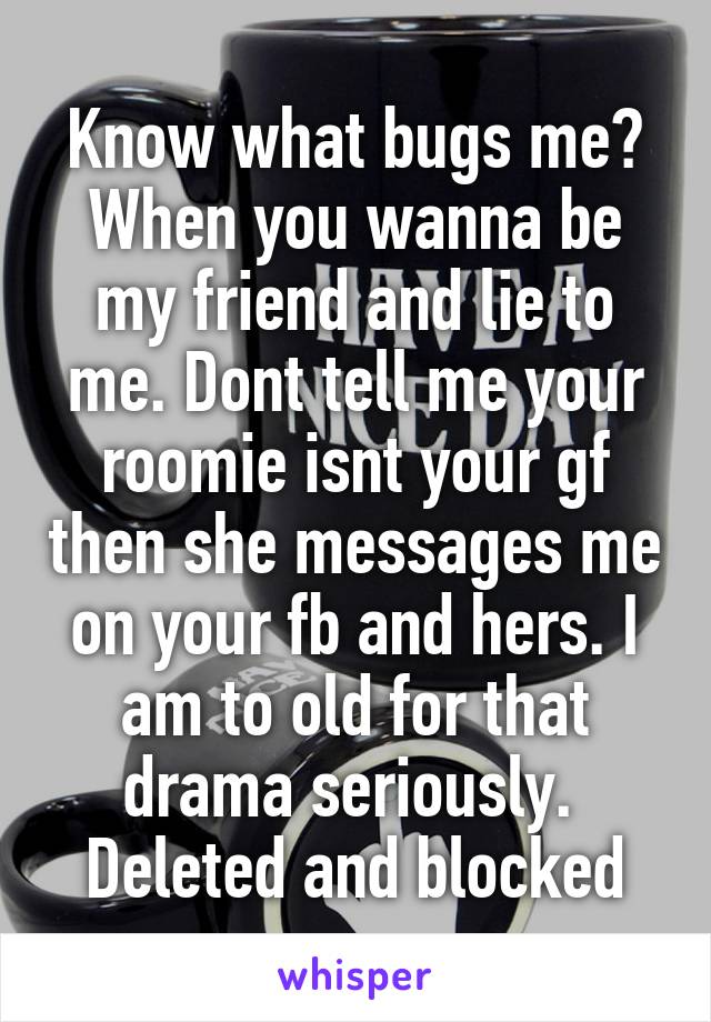 Know what bugs me? When you wanna be my friend and lie to me. Dont tell me your roomie isnt your gf then she messages me on your fb and hers. I am to old for that drama seriously.  Deleted and blocked