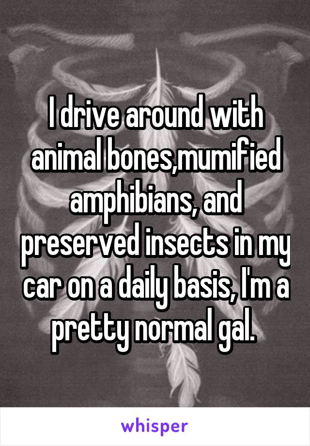 I drive around with animal bones,mumified amphibians, and preserved insects in my car on a daily basis, I'm a pretty normal gal. 