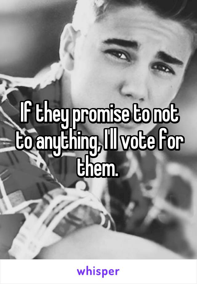 If they promise to not to anything, I'll vote for them. 