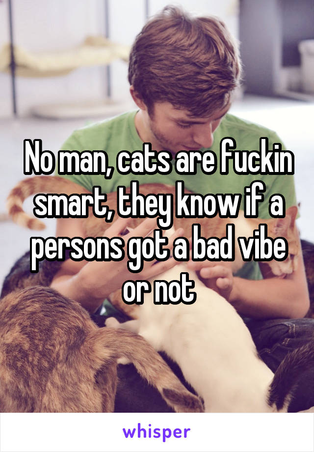 No man, cats are fuckin smart, they know if a persons got a bad vibe or not