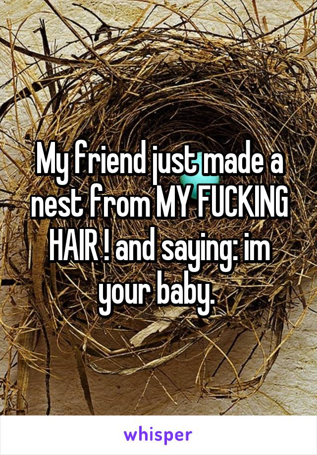 My friend just made a nest from MY FUCKING HAIR ! and saying: im your baby. 